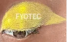 Dark Skin Tone Effect